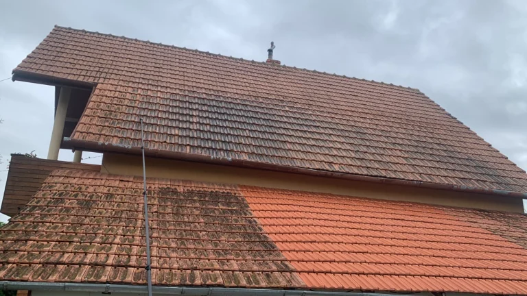 PHOTO-2026-01-13-10-54-33 (4)